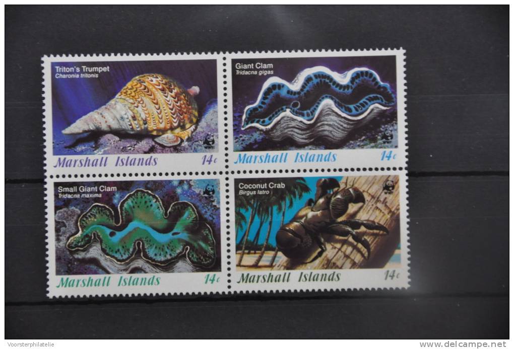 I - 19 ++ MARSHALL ISLANDS SCHELPEN SHELLS  ++ POSTFRIS MNH - Marshall Islands