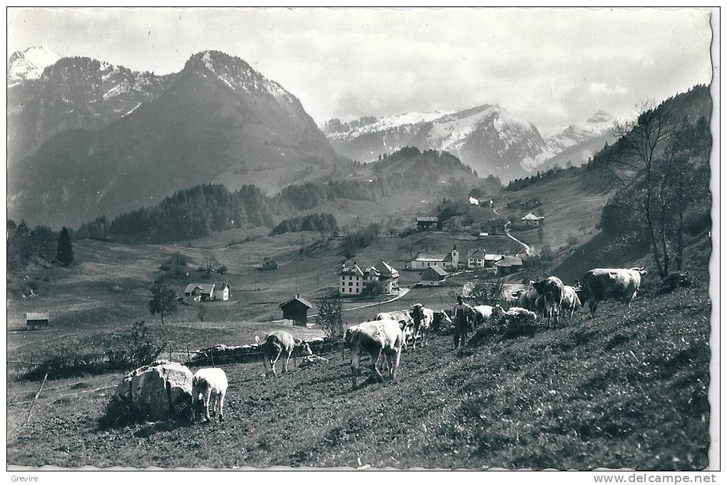 Les Sciernes D´Albeuve. Pâturage, Troupeau Avec Berger - Albeuve