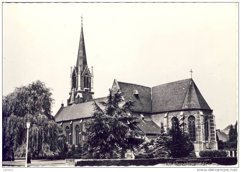 Schoten Kerk St. Cordula - Schoten