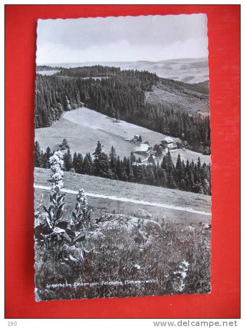 Jagerheim Rinken Am Feldberg - Feldberg