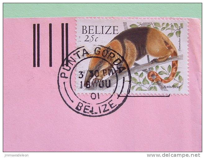 Belize 2000 Cover To USA - Animals Ant Bear Or Ant Eater - Belize (1973-...)