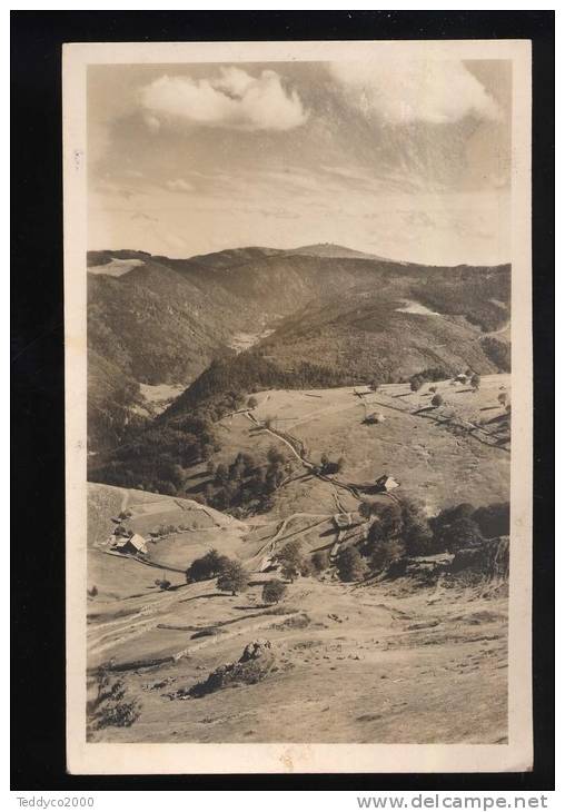 Feldberg Blick Auf Den - Feldberg