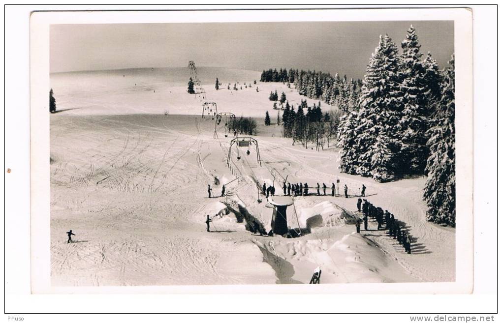 D3467    FELDBERG : Schwebelift Am Seebuck - Feldberg