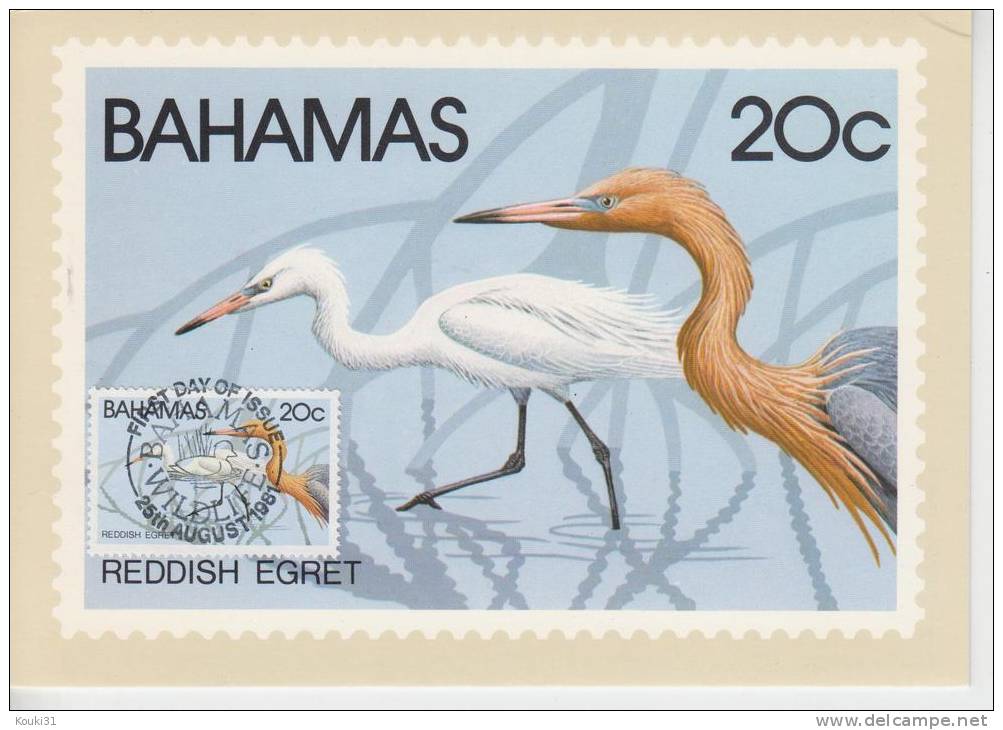 Bahamas YT 481 CM : Aigrette Roussâtre - 1981 - Pelicans