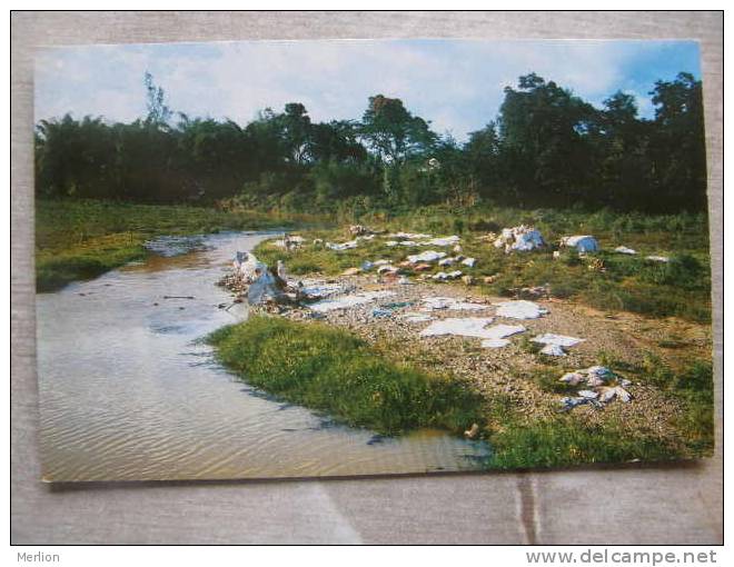 Puerto Rico  -Lavando La Ropa En El Campo - Washday    D91296 - Puerto Rico