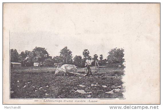 CAMBODGE INDOCHINE VIETNAM LAOS LABOURAGE D UNE RIZIERE Editeur Mottet & Cie - Laos