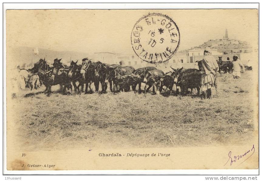 Carte Postale Ancienne Algérie - Ghardaïa - Dépiquage De L'Orge - Agriculture - Ghardaïa