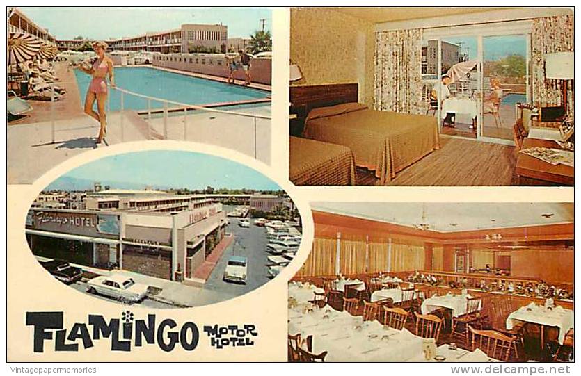 206771-Arizona, Tucson, Flamingo Motor Hotel, Multi-View, Swimming Pool, 1960s Cars - Tucson