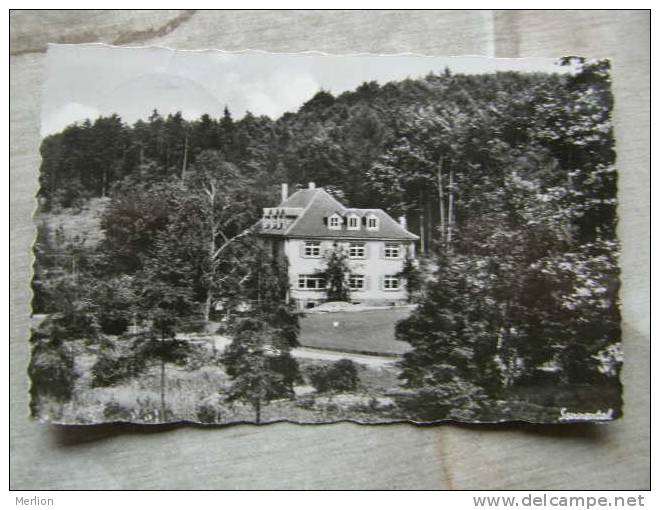 Hollerbach Bei Buchen Odenwald      D92503 - Buchen