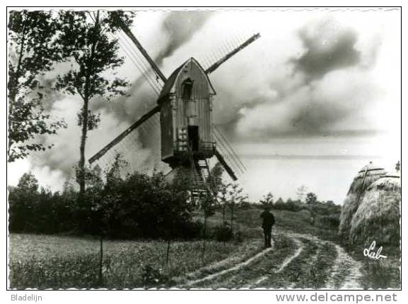 OLEN (Prov. Antwerpen) - Molen/moulin - De Verdwenen Hezewijkmolen (omvergetrokken In 1951) - Olen