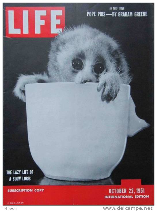 Magazine LIFE - OCTOBER 22 , 1951 - INTERNATIONAL EDITION -             (2997) - Novità/ Affari In Corso