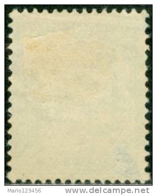 PRINCIPATO DI MONACO, SEGNATASSE, POSTAGE DUE, 1905, FRANCOBOLLO NUOVO (MLH*), Scott J1, YT T1,  Mi P1 - Autres & Non Classés