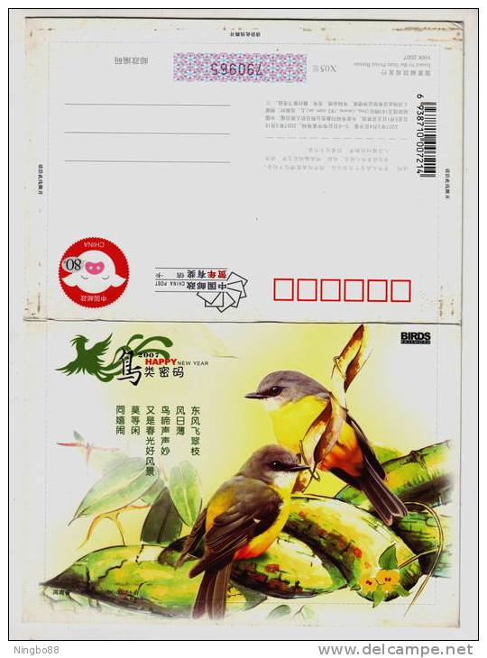 Bird Password,Rare Bird,China 2007 Henan New Year Greeting Pre-stamped Letter Card - Zwaluwen