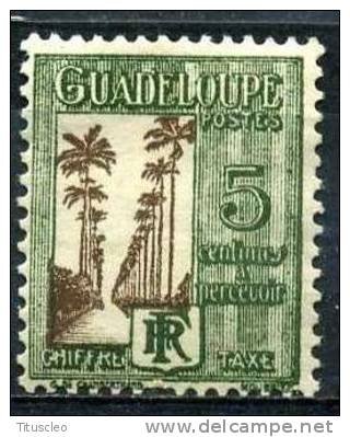 GUADELOUPE T27* 5c Vert Et Sépia (10% De La Cote + 0,15 €) - Neufs