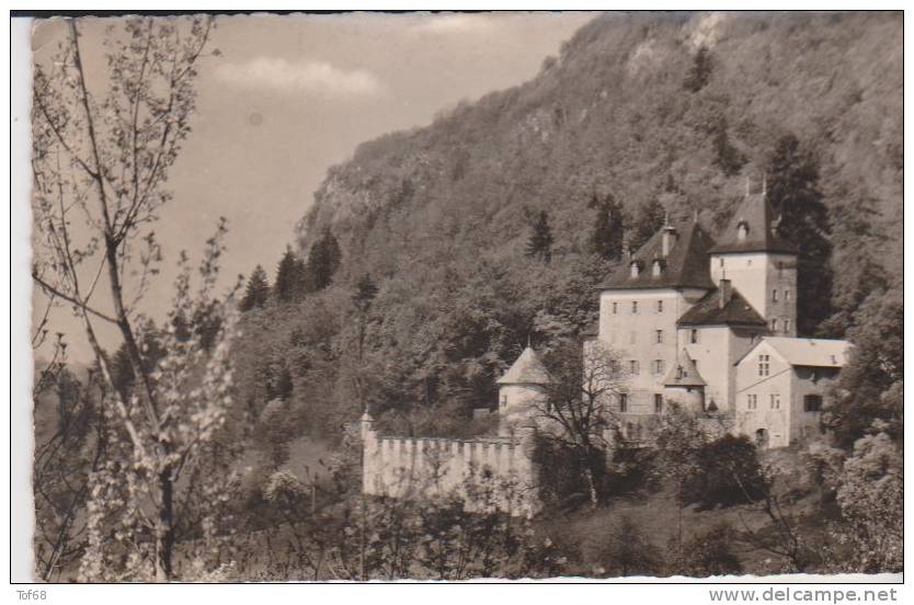 Saint Jeoire Le Château De Beauregard - Saint-Jeoire