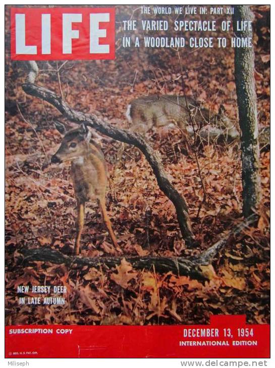 Magazine LIFE - DECEMBER 13 , 1954 - INTER. ED. -     (3024) - News/ Current Affairs