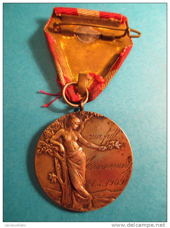 Club De Natation De Strasbourg/ Schwimmerein/Médaille Argent /Strassburge/1901 Et 1909    D124 - Swimming