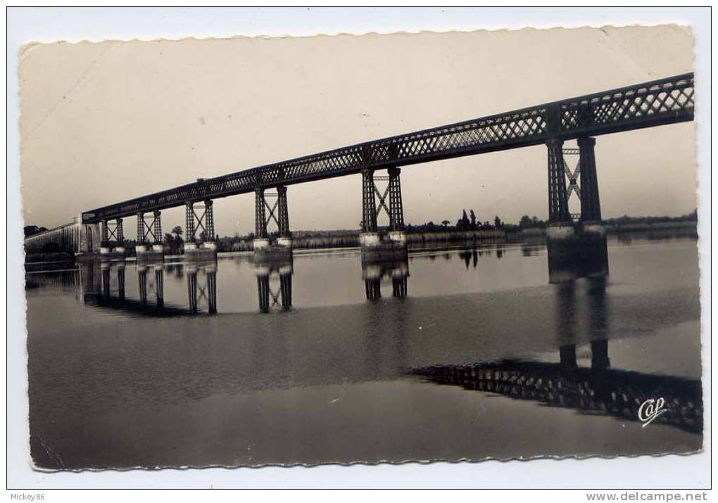 CUBZAC LES PONTS--1955--Le Pont Routier Sur La Dordogne,cpsm 9 X 14 N° 1526 éd CAP - Cubzac-les-Ponts