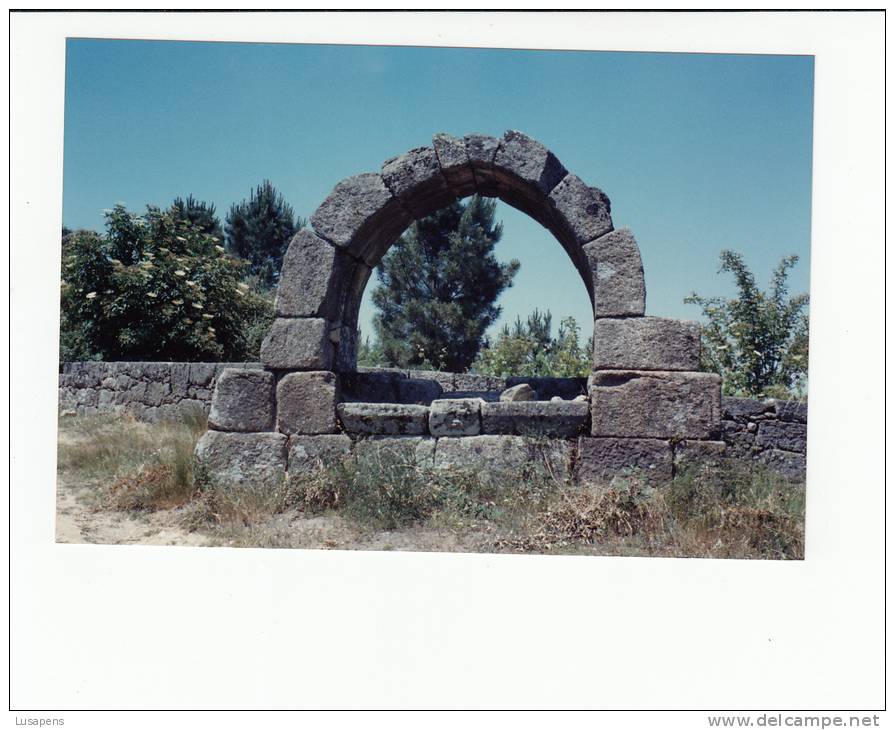 Portugal Cor 20656 - TAROUCA - FOTOGRAFIA PARTICULAR - NOT POSTCARD !!! PHOTO 1990 - Viseu