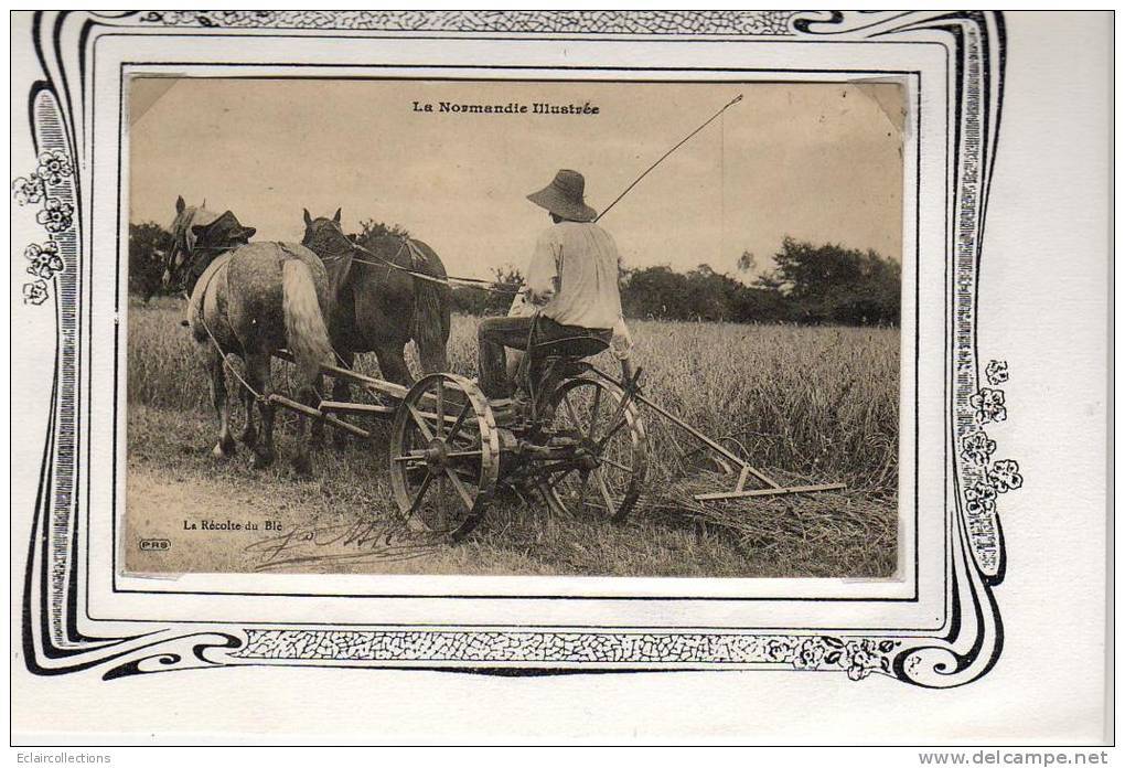 Normandie.  Orne   Agriculture    Vie Aux Champs   La Récolte  Du Blé  ( Fauchage Attelage Cheval) (voir Scan) - Basse-Normandie