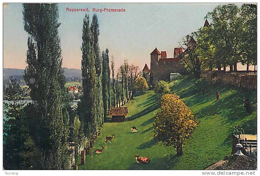 Jan13 1523 : Rapperswil  -  Burg-Promenade - Rapperswil