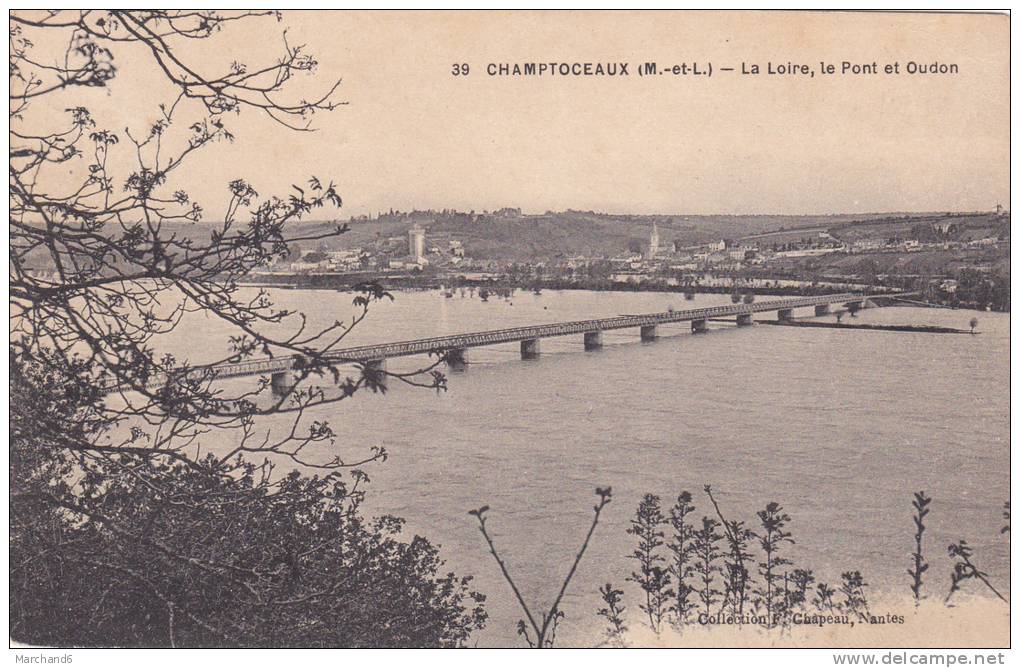 MAINE ET LOIRE CHAMPTOCEAUX LA LOIRE LE PONT ET OUDON Editeur F Chapeau - Champtoceaux