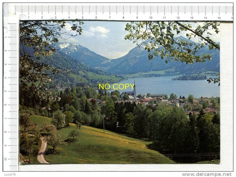 SCHLIERSEE - Blick Zur Brecherspitze U. Jagerkamp - Schliersee