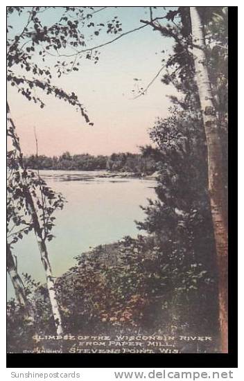 Wisconsin Stevens Point Glimpse Of The Wisconsin River From Paper Mill Albertype - Autres & Non Classés