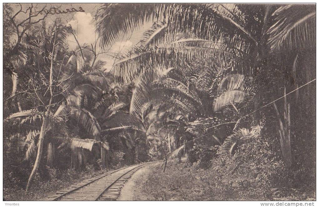 Postcard Trainway1900-1910( Postally Not Used) - Honduras