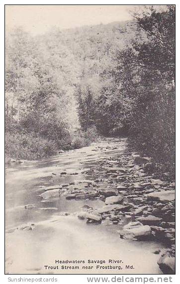 Maryland Frostburg Savage River Trout Stream Albertype - Other & Unclassified