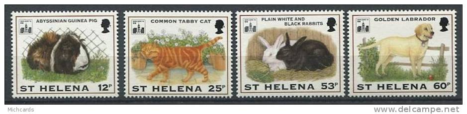 104 SAINTE HELENE 1994 - Chat Lapin Labrador Cochon D Inde - Neuf Sans Charniere (Yvert 615/18) - St. Helena