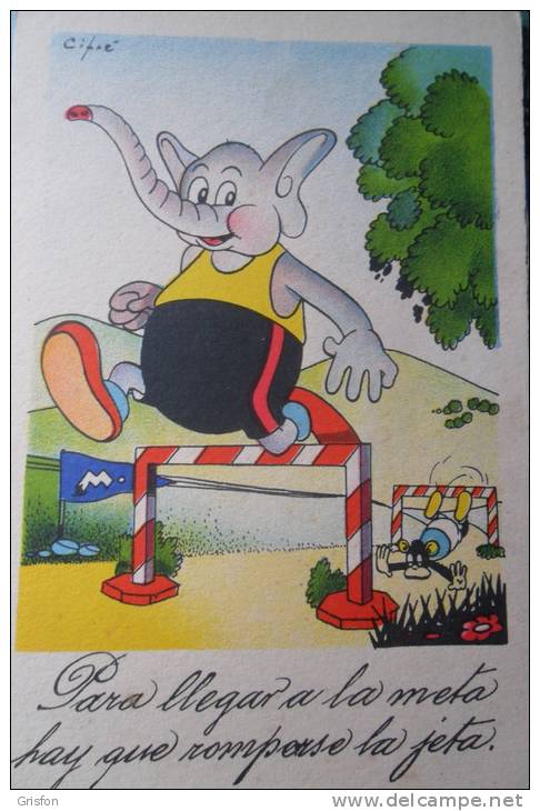 Humor Athletisme Elephant - Atletiek