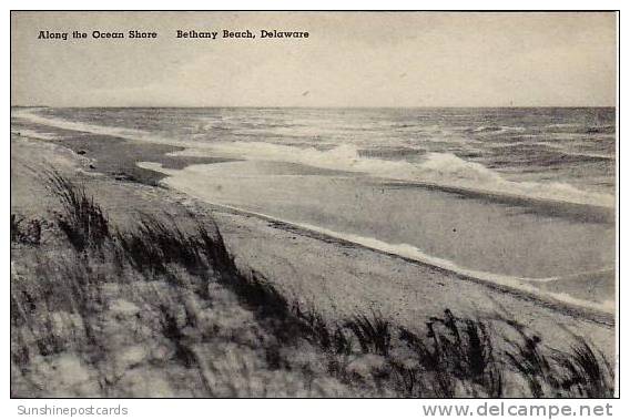 Delaware Bethany Along The Ocean Shore Albertype - Andere & Zonder Classificatie