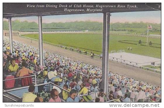 Maryland Haggerstown View From Dining Deck Of Club House Haggerstown Race Track - Hagerstown