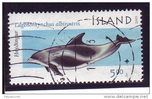 Islande YV 891 O 2000 Dauphin - Dolphins