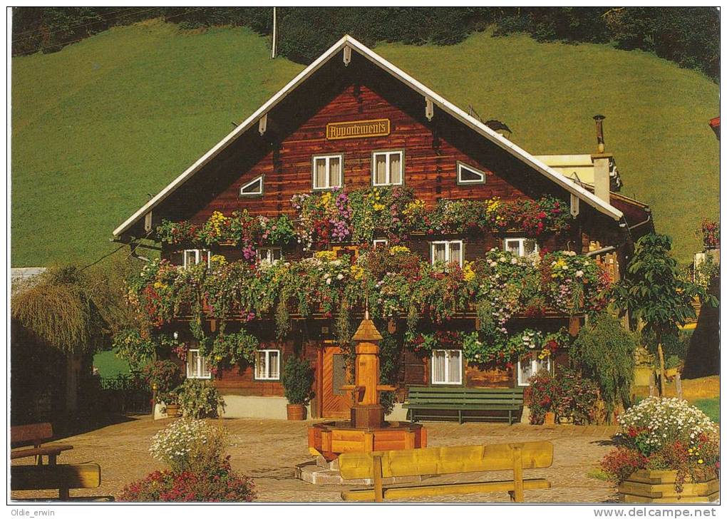 Alte AK Dienten Am Hochkönig 1993, Blumenhaus - Dienten