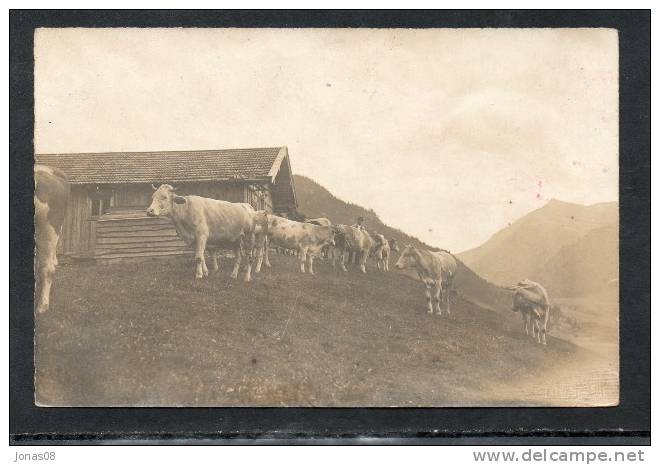 8162  ALMWIRTSCHAFT BEI SCHLIERSEE   ~ 1930 - Schliersee