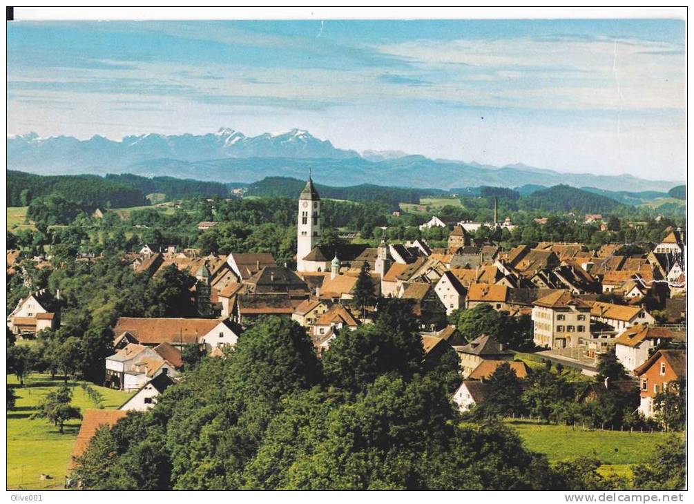 Wangen Im Allgäu Le Villagecarte Postale Circulée En 2001 Exc N° 274 - Wangen I. Allg.