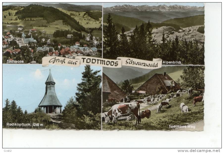 Gruss Aus Todtmoos Schwarzwald 1964 - Todtmoos