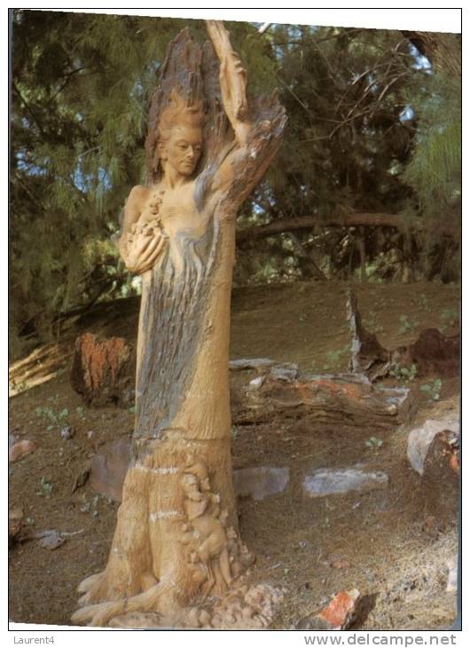 (354) Australia - NT - Alice Springs Burnt Tree Statue - Alice Springs