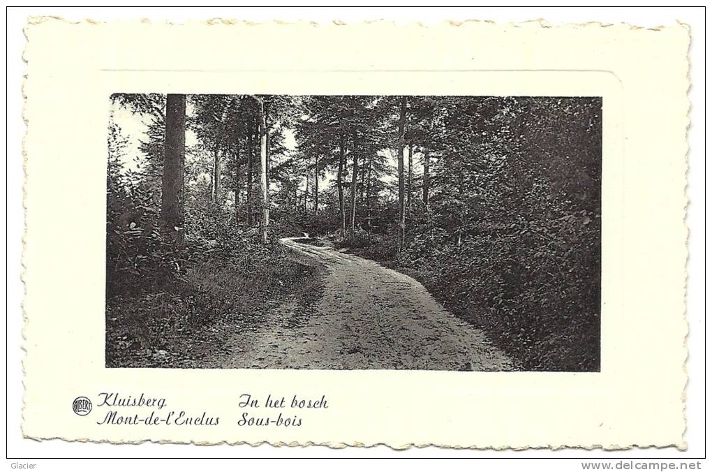 Lot 5 Cartes - MONT-DE-L'ENCLUS - KLUISBERGEN - Panorama - Maison Du Garde - Den Toren - Sous-bois - De Hel Put - Mont-de-l'Enclus