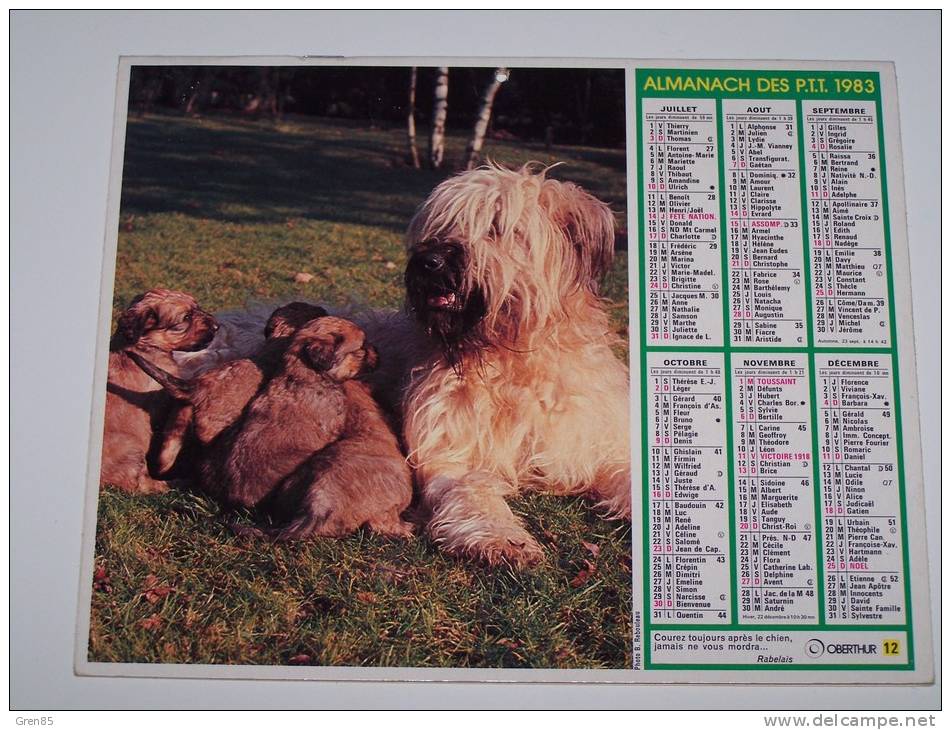 1983 CALENDRIER (double) ALMANACH DES PTT, P.T.T, OBERTHUR, CHIENNE ET SES CHIOTS, ENFANT ET PIGEON, ARDENNES 08 - Groot Formaat: 1981-90