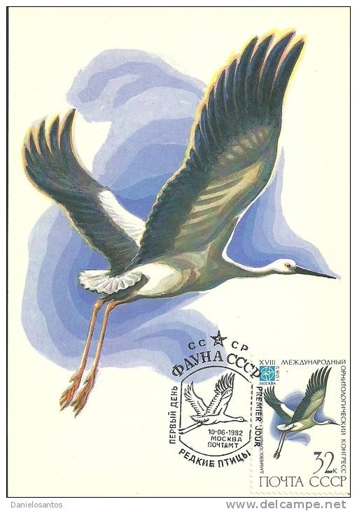 Russie URSS CCCP 1982 Birds Aves Oiseaux Vegels  Oriental Stork  - Ciconia Boyciana Maxi Maximum Post Card - Picotenazas & Aves Zancudas