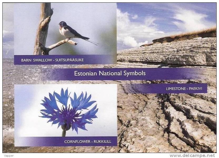 Birds Flowers Stone 2011  MNH Postcard Estonian National Symbols: Barn Swallow, Cornflower, Limestone - Hirondelles