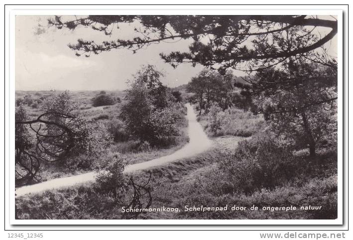 Schiermonnikoog - Schiermonnikoog