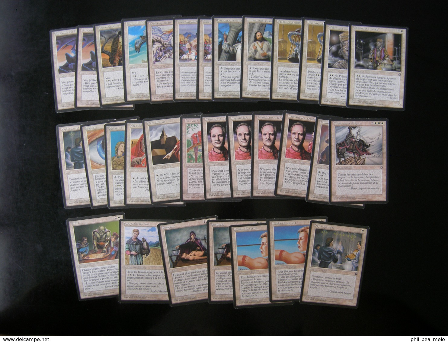 CARTE MAGIC THE GATHERING - TERRES NATALES - LOT 232 CARTES - VOIR PHOTOS ET DESCRIPTION - Lotti