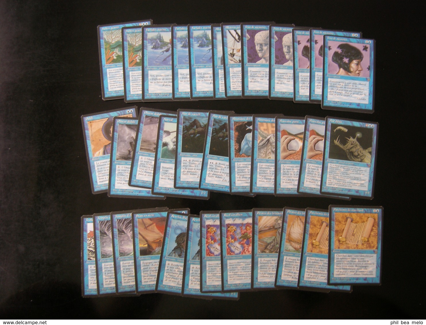 CARTE MAGIC THE GATHERING - TERRES NATALES - LOT 232 CARTES - VOIR PHOTOS ET DESCRIPTION - Lots