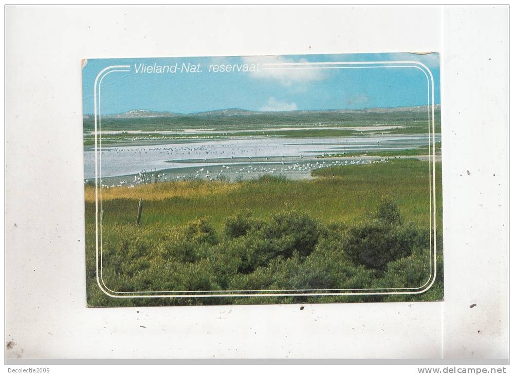 BT4665 Vlieland Ant Reservaat    2 Scans - Vlieland