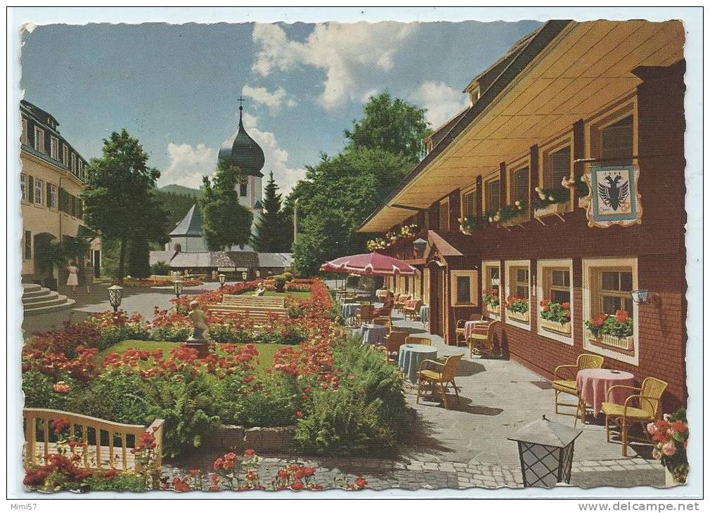 C.P.M. Hinterzarten - Hotel Adler - Hinterzarten