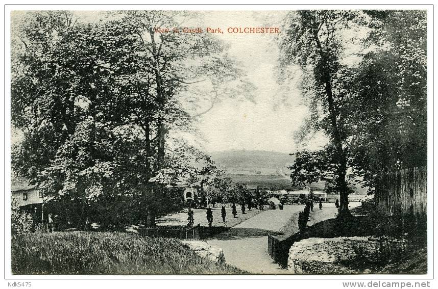 COLCHESTER : VIEW IN CASTLE PARK - Colchester